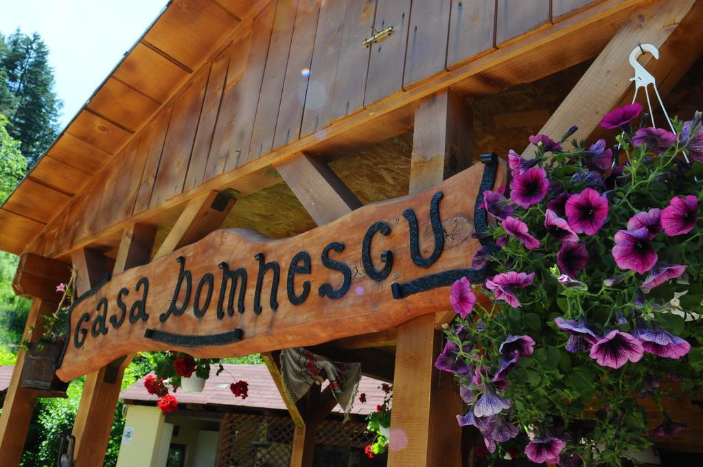 Sălişte Pensiunea Domnescu מראה חיצוני תמונה